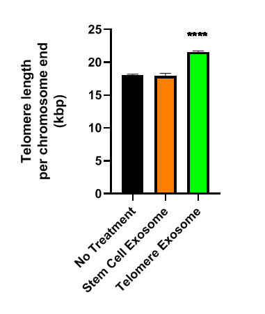 Telomere